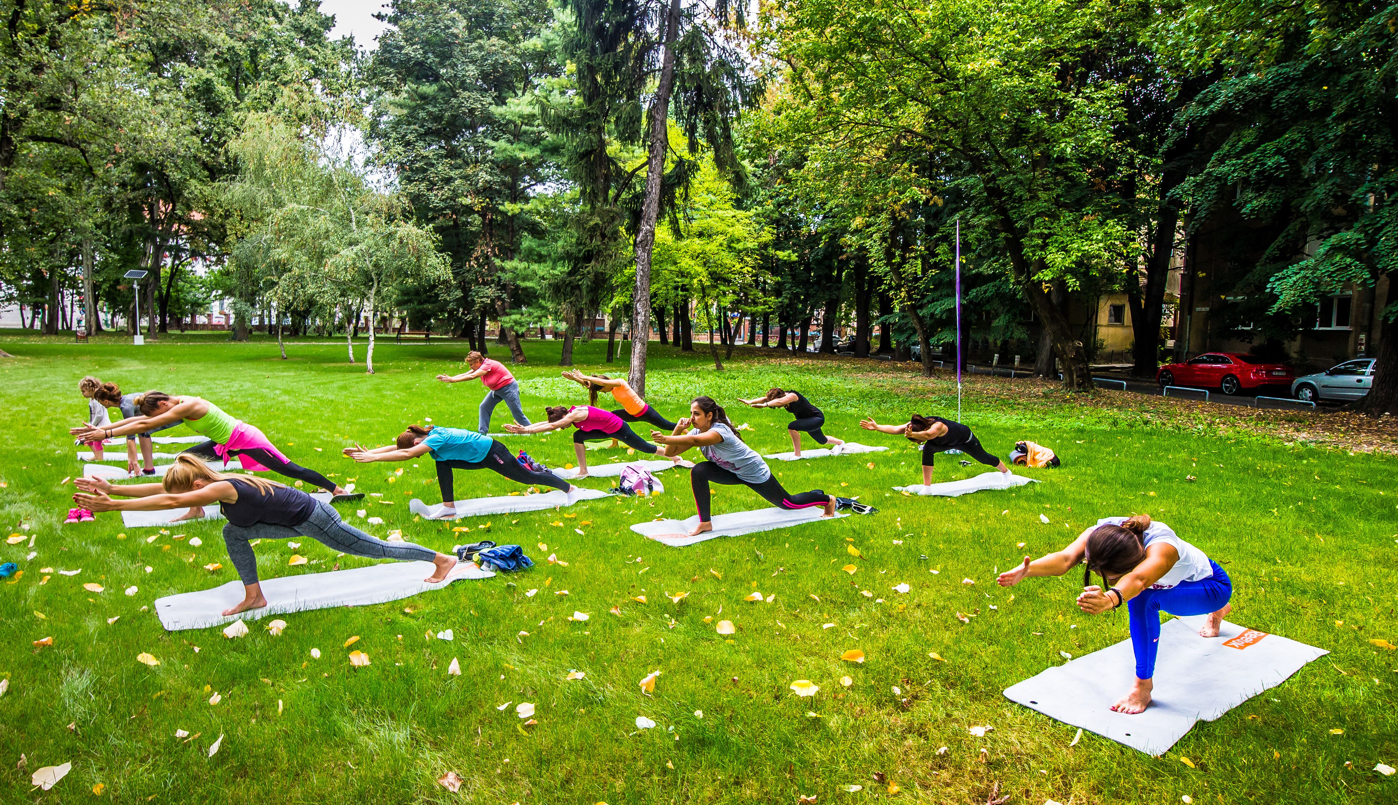 Person performing stretching exercises on grass in an open park setting